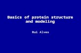 Basics of protein structure and modeling Rui Alves.