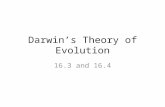 Darwin’s Theory of Evolution 16.3 and 16.4. Natural Selection The process by which organisms with variations most suited to their local environment survive.
