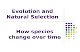 Evolution and Natural Selection How species change over time.
