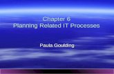 ICT6221 Chapter 6 Planning Related IT Processes Paula Goulding.