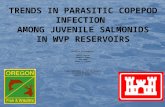 TRENDS IN PARASITIC COPEPOD INFECTION AMONG JUVENILE SALMONIDS IN WVP RESERVOIRS Principal Investigators: Fred R. Monzyk Jeremy D. Romer Ryan Emig Thomas.