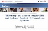 Workshop on Labour Migration and Labour Market Information Systems February 24-25, 2009 Québec City, Canada.