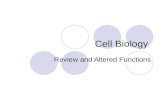 Cell Biology Review and Altered Functions. Embryonic Stem Cells.
