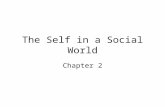 The Self in a Social World Chapter 2. Self-Concept: Who Am I? I am.