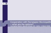 Cooperation with Norwegian Municipalities – what are the options? Gunnbjørg Naavik, Special Adviser, KS – Sofia – 4 March 2008.