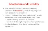 Adaptation and Heredity Jean Baptiste Pierre Antoine de Monet, Chevalier de Lamarck (1744-1849) proposed new ideas about evolution. Lamarck believe that.