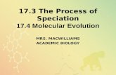 17.4 Molecular Evolution 17.3 The Process of Speciation 17.4 Molecular Evolution MRS. MACWILLIAMS ACADEMIC BIOLOGY.