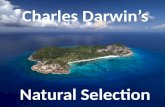 Natural Selection Charles Darwin’s. In 1831, Charles Darwin began a 5 year trip around the world aboard the H.M.S. Beagle. His goal was to observe and.