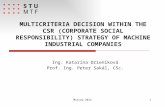 MULTICRITERIA DECISION WITHIN THE CSR (CORPORATE SOCIAL RESPONSIBILITY) STRATEGY OF MACHINE INDUSTRIAL COMPANIES Ing. Katarína Dr ienik ová Prof. Ing.