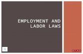 EMPLOYMENT AND LABOR LAWS  These laws:  Prevent discrimination and harassment in the workplace.  Outline workplace poster requirements.  Set wage.
