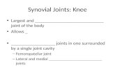 Synovial Joints: Knee Largest and ____________________________ joint of the body Allows _ __________________ joints in one surrounded by a single joint.