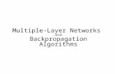 Multiple-Layer Networks and Backpropagation Algorithms.