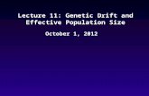 Lecture 11: Genetic Drift and Effective Population Size October 1, 2012.