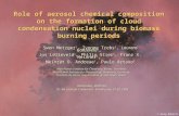 Role of aerosol chemical composition on the formation of cloud condensation nuclei during biomass burning periods Swen Metzger 1, Ivonne Trebs 1, Laurens.