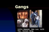 Gangs Colin Hemond, Ben Lau, Arik Tai, Daniel Wong.