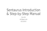 Sentaurus Introduction & Step-by-Step Manual Chen Shi cshi3@gmu.edu 09/16/2015.