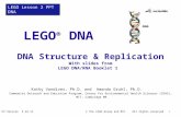 LEGO ® DNA DNA Structure & Replication With slides from LEGO DNA/RNA Booklet 1 © The LEGO Group and MIT All rights reservedKV Version 4-22-11 LEGO Lesson.