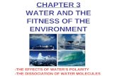 CHAPTER 3 WATER AND THE FITNESS OF THE ENVIRONMENT -THE EFFECTS OF WATER’S POLARITY -THE DISSOCIATION OF WATER MOLECULES.