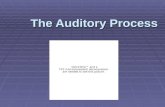 The Auditory Process. Stimulus  Distal Stimulus- in our environment produces a proximal stimulus  Proximal Stimulus- form of sound waves reaching the.