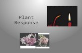 Plant Response. Plant reactions Stimuli & a Stationary Life – Animals respond to stimuli by changing behavior Move toward positive stimuli Move away from.