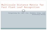 Rongxiang Hu, Wei Jia, Haibin ling, and Deshuang Huang Multiscale Distance Matrix for Fast Plant Leaf Recognition.