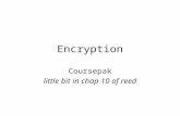 Encryption Coursepak little bit in chap 10 of reed.