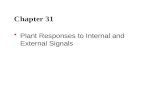 Chapter 31 Plant Responses to Internal and External Signals.