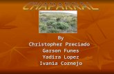 By Christopher Preciado Garson Funes Yadira Lopez Ivania Cornejo.