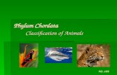 Phylum Chordata Classification of Animals MS. LEE.