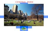 CENTRAL PARK. THE HISTORY Central Park is a public park at the center of Manhattan in New York City, United States. The park is opened in 1857. In 1858,