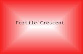 Fertile Crescent. Where is the fertile crescent? The heart land of the middle East.