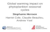 Stephanie Henson Harriet Cole, Claudie Beaulieu, Andrew Yool Global warming impact on phytoplankton seasonal cycles.