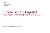 Tuberculosis in England 2015 report (presenting data to end of 2014) Tables and figures slide set.
