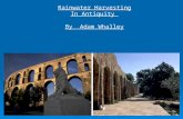 Rainwater Harvesting In Antiquity By Adam Whalley.