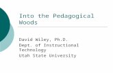 Into the Pedagogical Woods David Wiley, Ph.D. Dept. of Instructional Technology Utah State University.