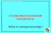 ENTREPRENEURSHIP OVERVIEW What is entrepreneurship?
