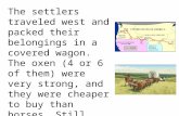 The settlers traveled west and packed their belongings in a covered wagon. The oxen (4 or 6 of them) were very strong, and they were cheaper to buy than.