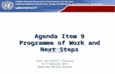 UN Economic Commission for Europe Agenda Item 9 Programme of Work and Next Steps 18th UN/CEFACT Plenary 15-17 February 2012 Palais des Nations, Geneva.