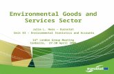 Environmental Goods and Services Sector Julie L. Hass – Eurostat Unit E3 – Environmental Statistics and Accounts 14 th London Group Meeting Canberra, 27-30.