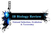 IB Biology Review Natural Selection, Evolution & Taxonomy.