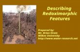 Describing Redoximorphic Features Prepared by: Mr. Brian Oram Wilkes University .