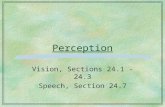 Perception Vision, Sections 24.1 - 24.3 Speech, Section 24.7.