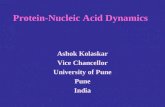 Protein-Nucleic Acid Dynamics Ashok Kolaskar Vice Chancellor University of Pune Pune India.