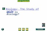 Unit Overview – pages 142-143 What is Biology? Biology: The Study of Life.