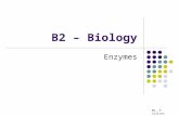 B2 – Biology Enzymes Mr. P. Collins. B2.6 Enzymes - AIMS To evaluate the advantages and disadvantages of using enzymes in home and industry Mr. P. Collins.