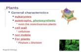Regents Biology Plants  General characteristics  eukaryotes  autotrophs, photosynthetic  even the insectivorous plants  cell wall  cellulose  not.