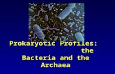Prokaryotic Profiles: the Bacteria and the Archaea.