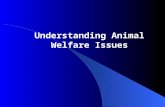 Understanding Animal Welfare Issues. Student Learning Objectives Identify ethics involved with animal production. Discuss animal welfare and animal rights.