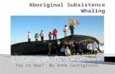 Yay or Nay? By Anne Castiglioni.  Of a different nature than commercial whaling  Satisfies subsistence needs of aboriginal peoples from all over the.