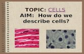 TOPIC: CELLSCELLS AIM: How do we describe cells?.